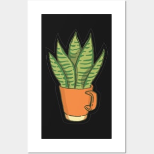 Sansevieria Liberica Posters and Art